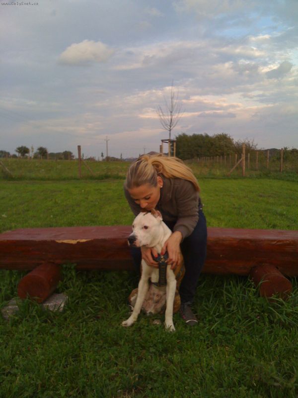 Foto: -....jet chci podotknout, e tohoto pejska se ji nepodailo zachrnit a p