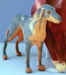 :  > Maratsk loveck pes (Mahratta Greyhound)