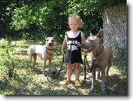 www.thailandridgeback.cz