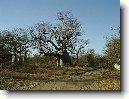 Senegal