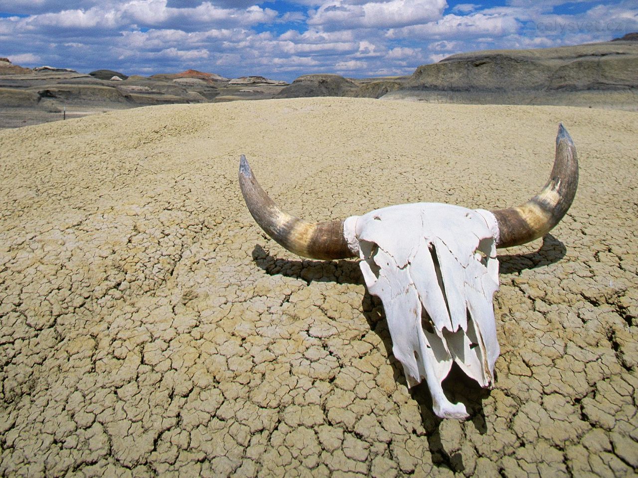 Foto: Summer Heat, Death Valley National Park, California