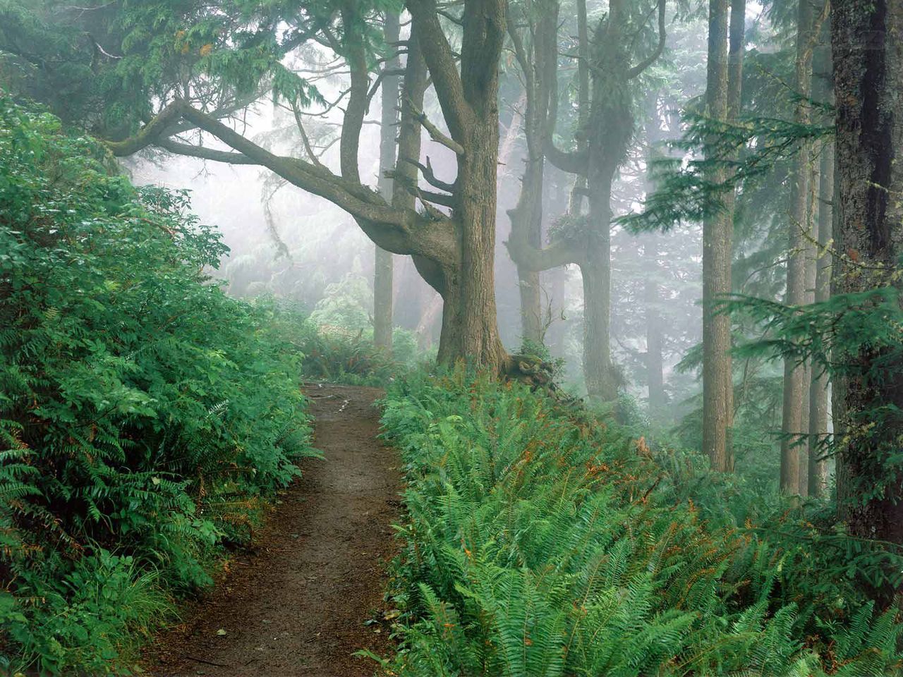 Foto: Cape Lookout State Park Oregon