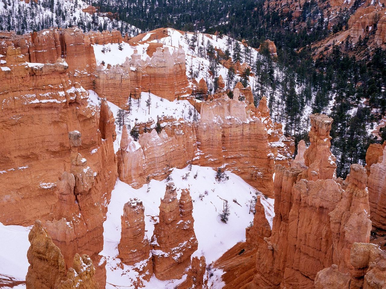 Foto: Snowy Bryce Canyon, Utah