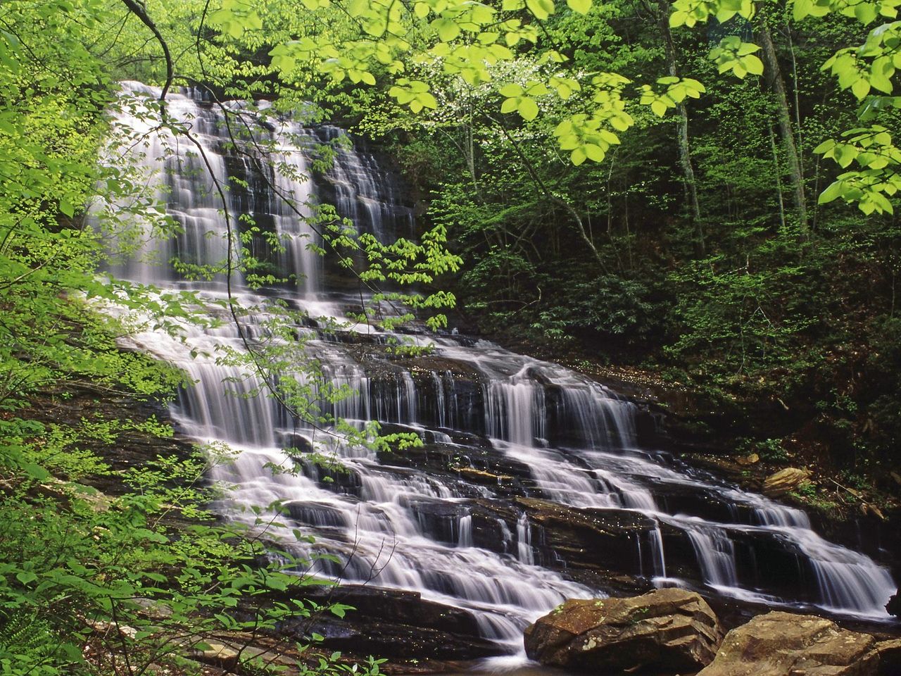 Foto: Pearsons Falls, Saluda, North Carolina