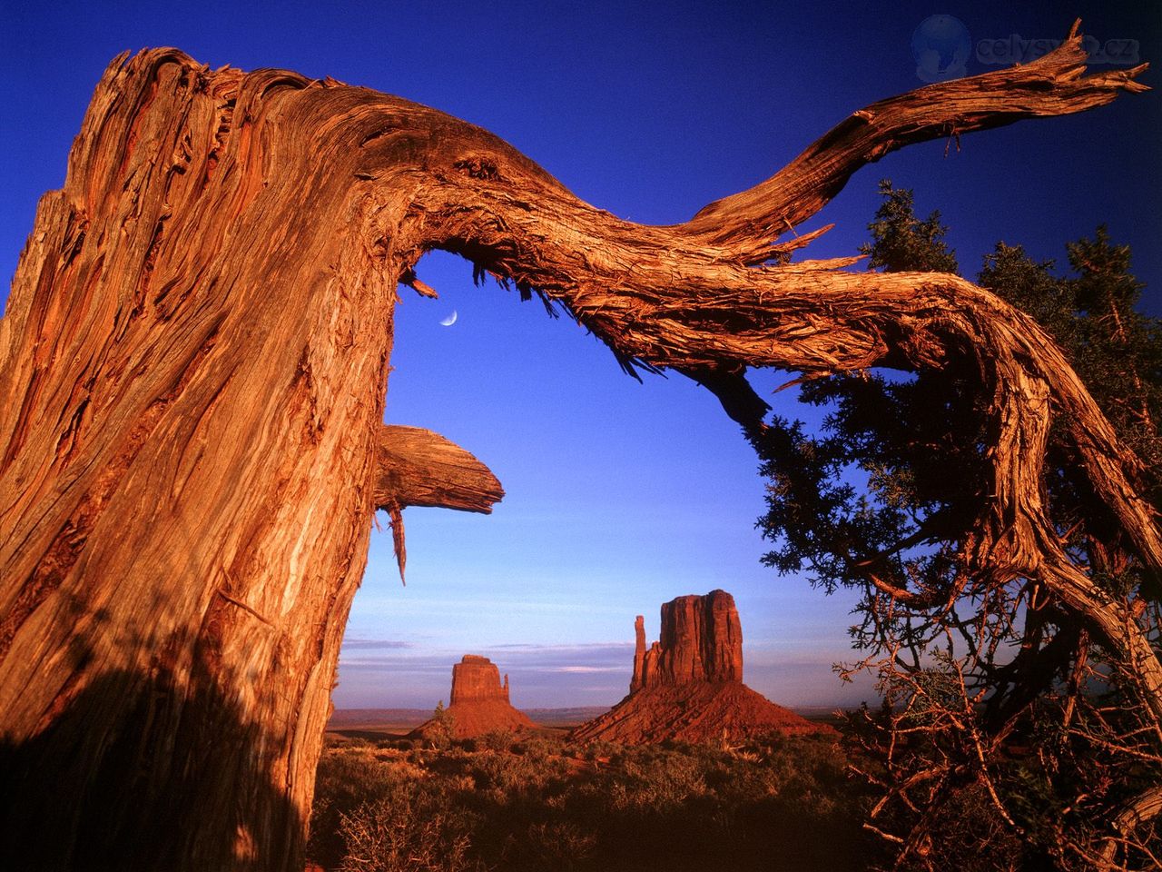 Foto: Fallen, Monument Valley, Arizona