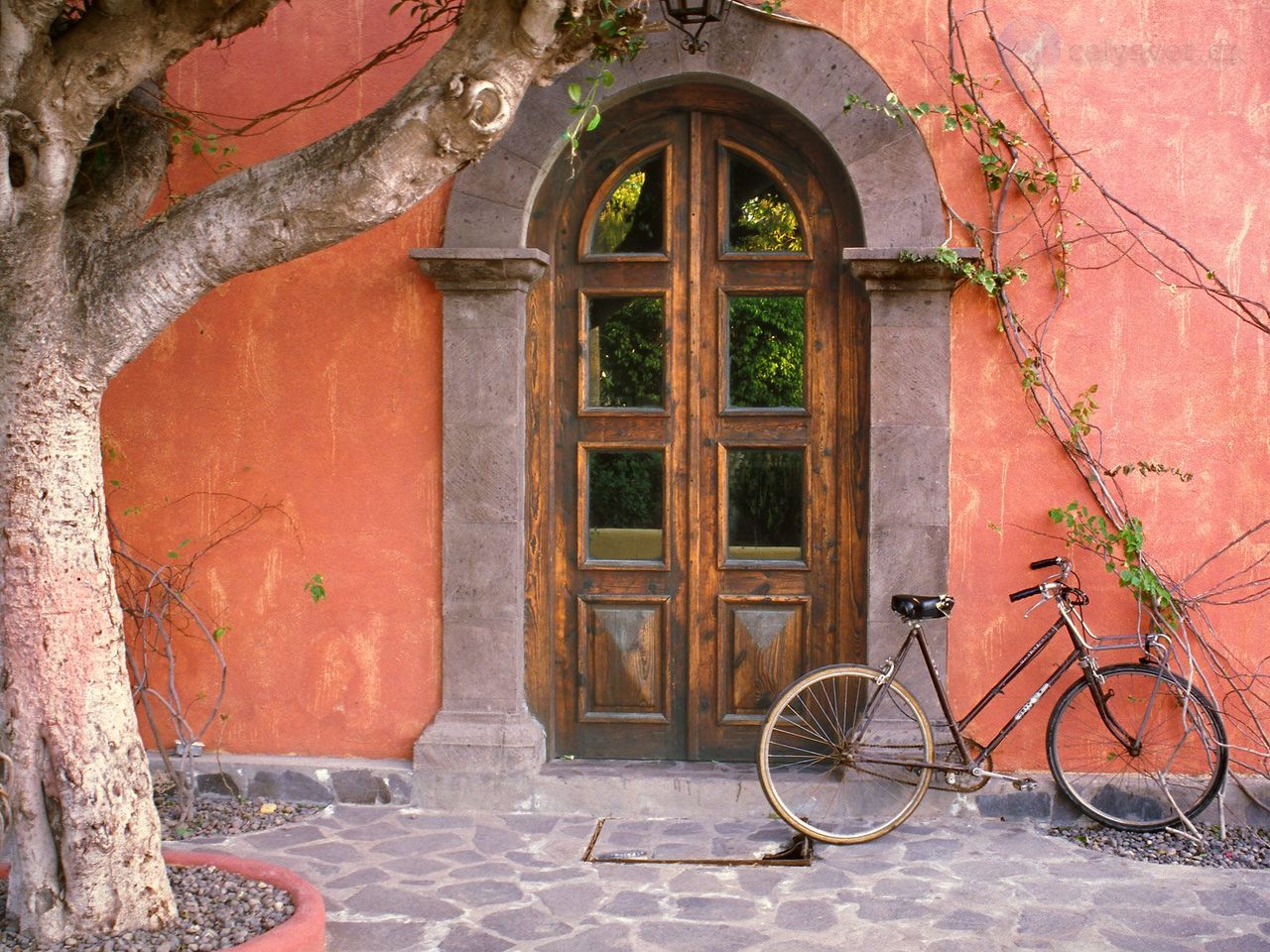 Foto: Doorway And Bicycle, Loreto, Mexico