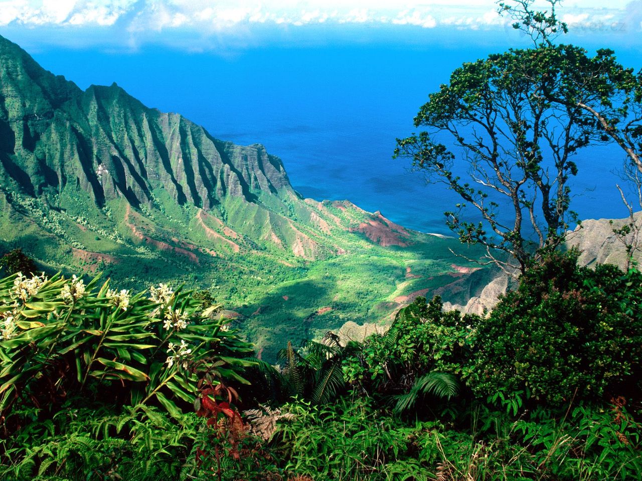 Foto: Kalalau Valley, Kauai, Hawaii