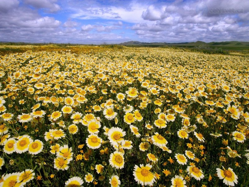 Foto: Carrizo Plain National Monument, California