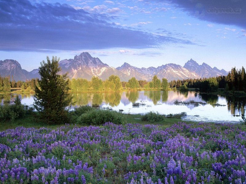 Foto: Teton Range In Spring, Wyoming