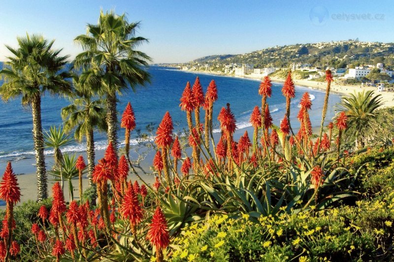 Foto: Laguna Beach Landscape, California