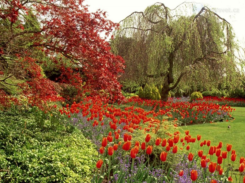 Foto: Queen Elizabeth Park, Vancouver, British Columbia, Canada