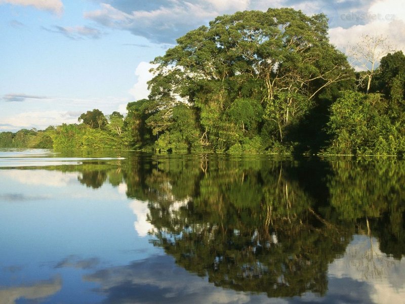 Foto: Pacaya Samiria National Peserve, Amazonia, Peru